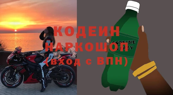 индика Гусиноозёрск