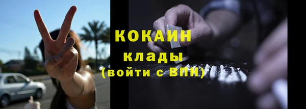крисы Армянск