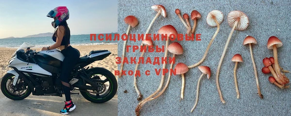 крисы Армянск