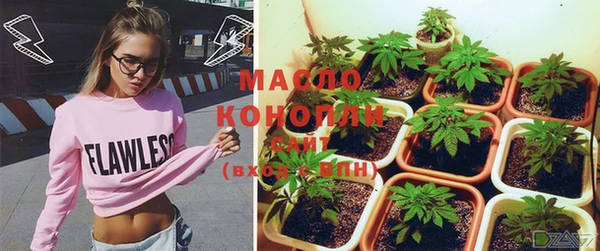 крисы Армянск