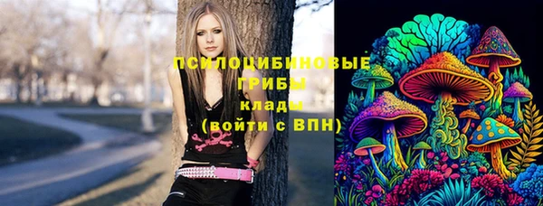 гашиш Аркадак