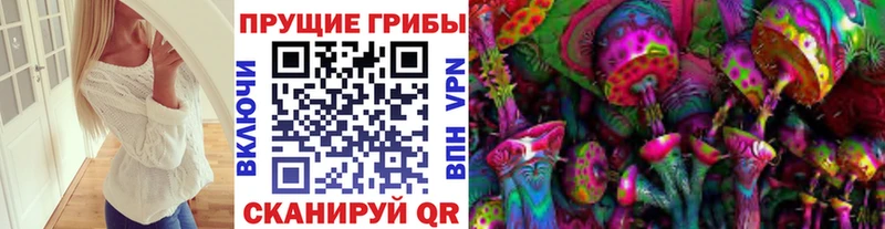 наркота Кирово-Чепецк Псилоцибиновые грибы MAGIC MUSHROOMS