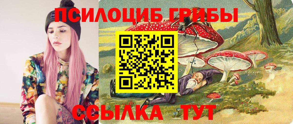 Псилоцибиновые грибы GOLDEN TEACHER  закладки  Вход с VPN  Кирово-Чепецк  Псилоцибиновые грибы ЛСД 